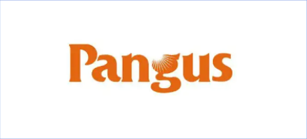 Pangu Information